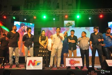 Sarrainodu Movie Blockbuster Function
